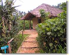 Die Mama Bwindi H&uuml;tte war f&uuml;r 2 N&auml;chte unser Heim