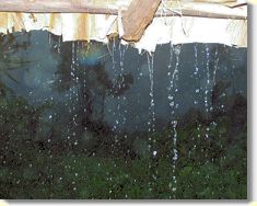 ... in der Regenzeit ist mit &ouml;rtlichen Schauern zu rechnen ...