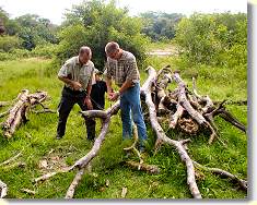 ... got some fire wood ...