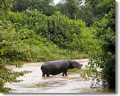 ... we saw the usual ...