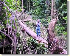 Was macht man nicht alles f&uuml;r ein gutes Bild?