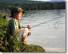 ... In the afternoon we tried again but the same thing happened.